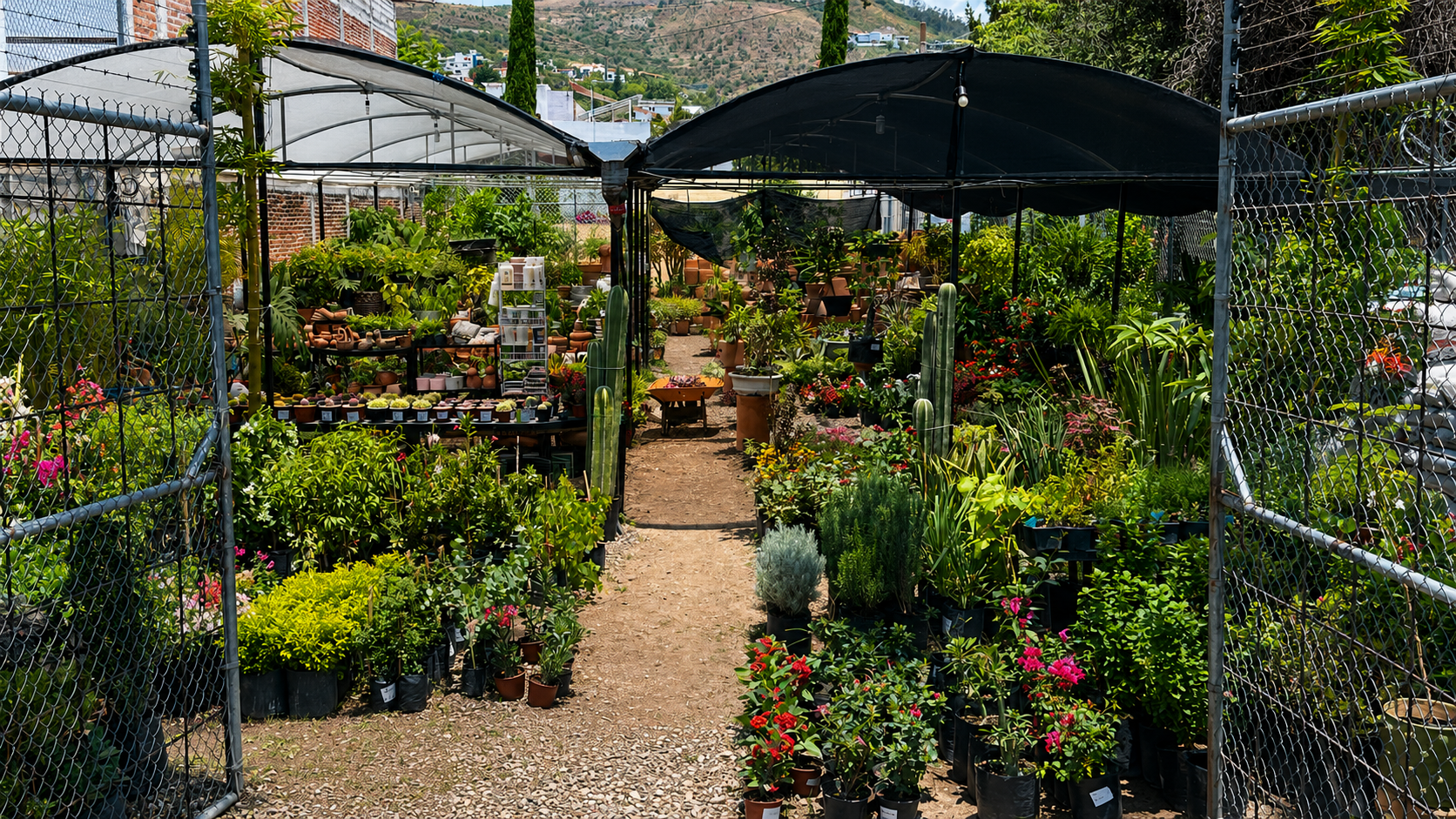 Vivero Vida Verde — plantas y naturaleza